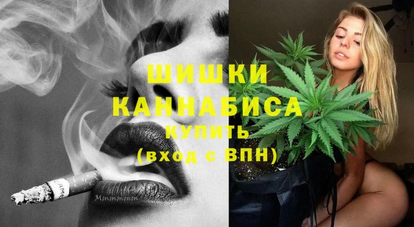 молекула духа Заводоуковск