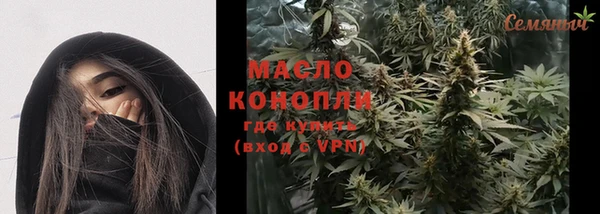 молекула духа Заводоуковск