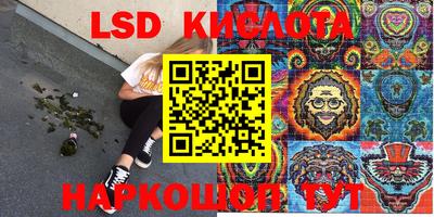 a pvp Заводоуковск
