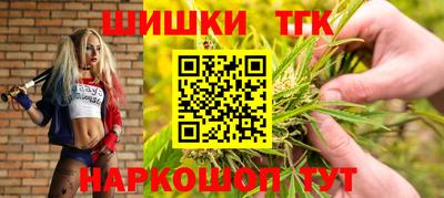 индика Жуковский