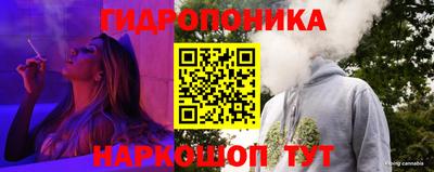 прущие крисы Заволжье
