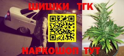 индика Жуковский