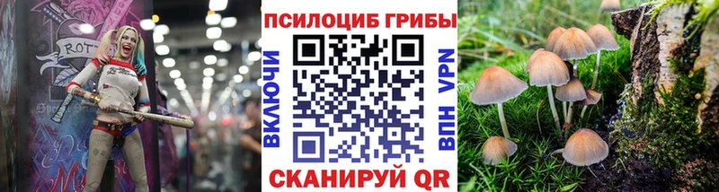 купить наркоту  Ноябрьск  Псилоцибиновые грибы Psilocybine cubensis 