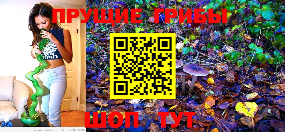 Галлюциногенные грибы Magic Shrooms Ноябрьск