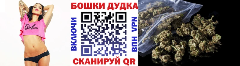 Конопля Bruce Banner  хочу   Ноябрьск 